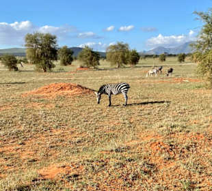 Geführte Touren Marco Polo Tours & Safaris Diani Beach