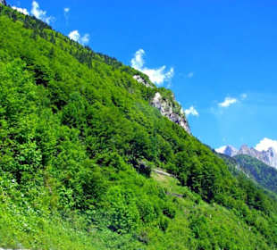 Plöckenpass 2010 die ganze Strecke