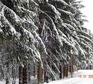 Wandern Schmiedefeld am Rennsteig