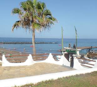 Monkeys Strand/Bar
