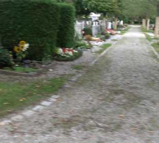 Friedhof St. Martin