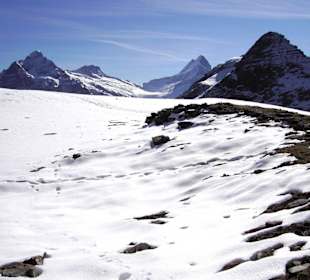 Höhenweg First-Faulhorn-Schynige Platte (3)