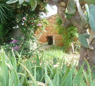 Finca