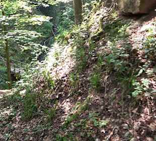 Teufelskanzelsteig Bad Griesbach