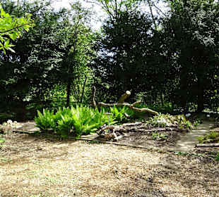 Garten Hohenheim