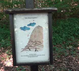 Ameisenlehrpfad Holzelfingen