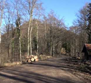 Wandertour Eppenzill