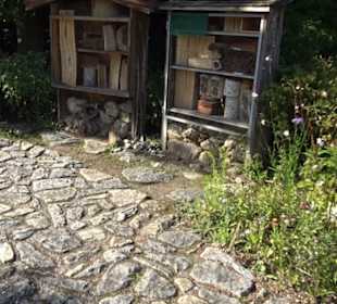 Botanischer Garten München