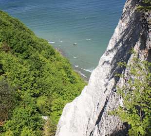 Blick vom Königsstuhl