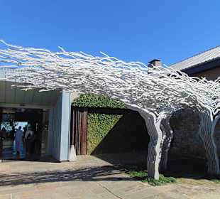 Weingut Tokara in Stellenbosch