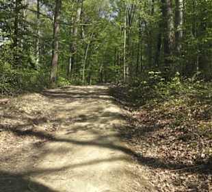 Wanderweg Hochgehwachsen