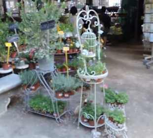 Real Jardín Botánico de Madrid