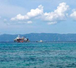 Möwen bei den Schleppnetzfischern