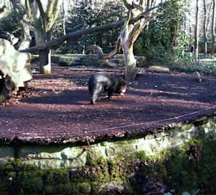 Zoo Dortmund - Die Tiere