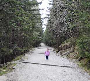 Berg Schneekoppe/Śnieżka