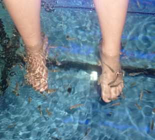 In Cala Millor