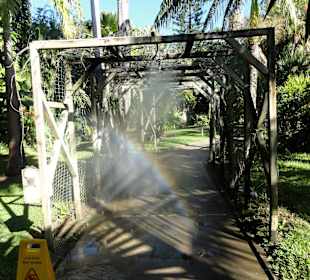 Erfrischendes Nebeltor im Botanischen Garten