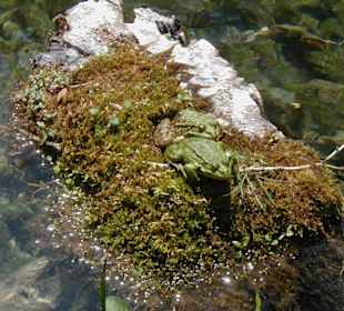 Nationalpark Plitvicka