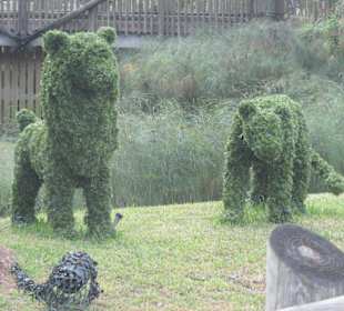 Tierische Kunstwerke