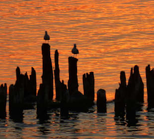 Blick vom Restaurant Ponte Rialto: Abendstimmung