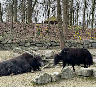 Tiergarten Straubing