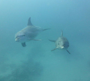 Unbeschreiblich schön