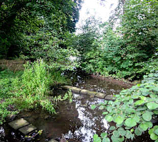 Spaziergang durch das Schönebecker Auetal