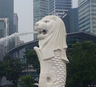Merlion MBS