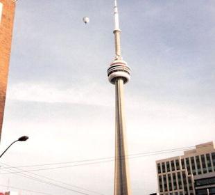 Stadtansichten von Toronto