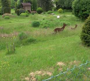 Mehrgenerationenpark Loßburg