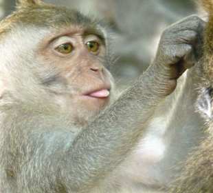 Na, wo gibt's Milch?