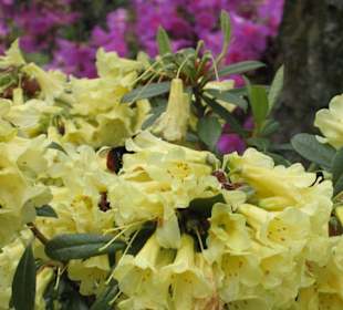 Ausflug auf Brissagoinsel