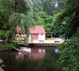 Pfälzer Waldpfad in Kaiserslautern