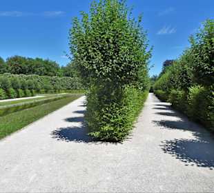 Rundgang durch den Kanalgarten der Eremitage