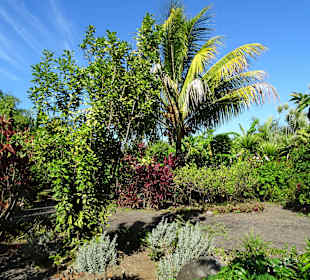 Rundgang durch den Botanischen Garten der Domaine
