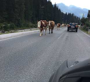Wandern Gerlos