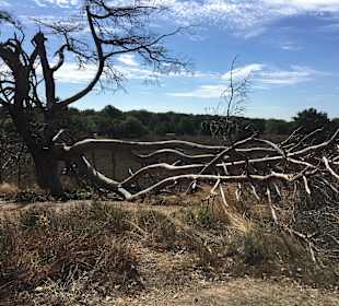 Wandern Datteln