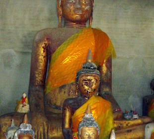 Buddha's