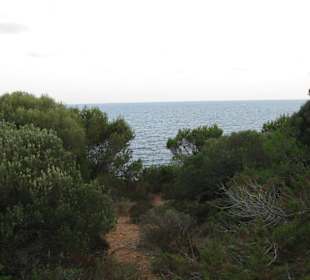 Naturschutzgebiet zwischen Sa Coma und Cala Millor