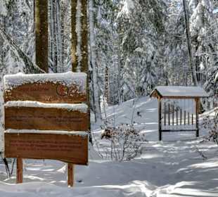 Bergwald-Erlebnispfad Inzell
