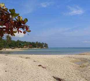 Strand auf Koh Phangan