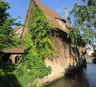 Quai Anselmann