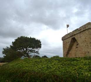 Naturschutzgebiet Punta de n'Amer