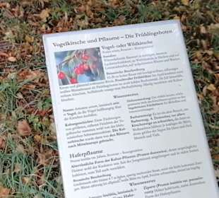 Schaugarten Eninger Weide