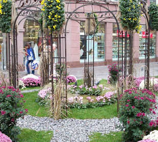 Chrysanthemen Show