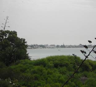 Wunderschöne Gartenanlage