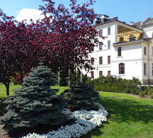 Stare Miasto