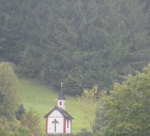 Bei der Moor-Wanderung (Inzeller Filzen)