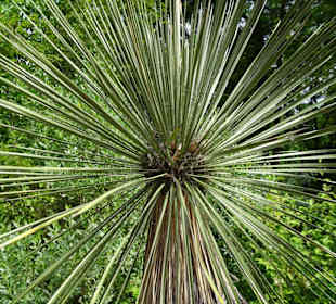 Impressionen aus dem Botanischen Garten Düsseldorf