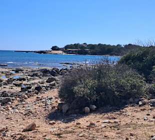 Ses Covetes in Sa Rapita